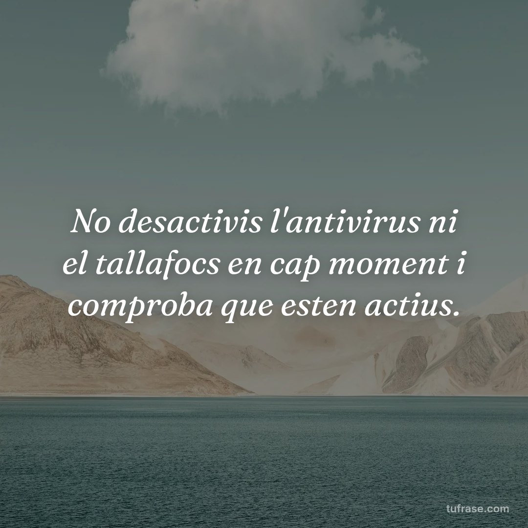 No desactivis l'antivirus ni el tallafocs en cap moment i comproba que esten actius.