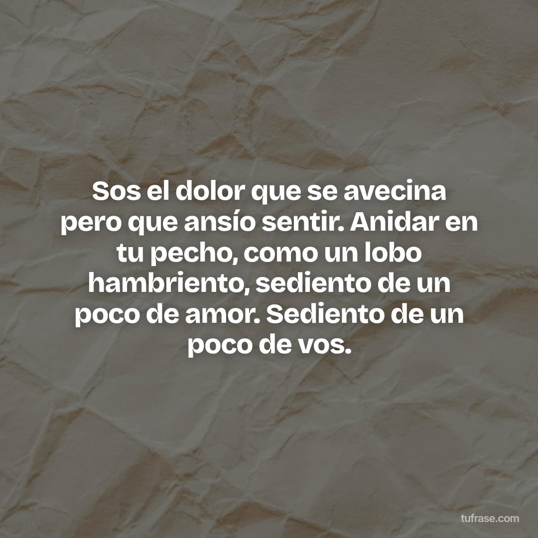 Sos el dolor que se avecina pero que ansío sentir. Anidar en tu pecho, como un lobo hambriento, sediento de un poco de amor. Sediento de un poco de vos.