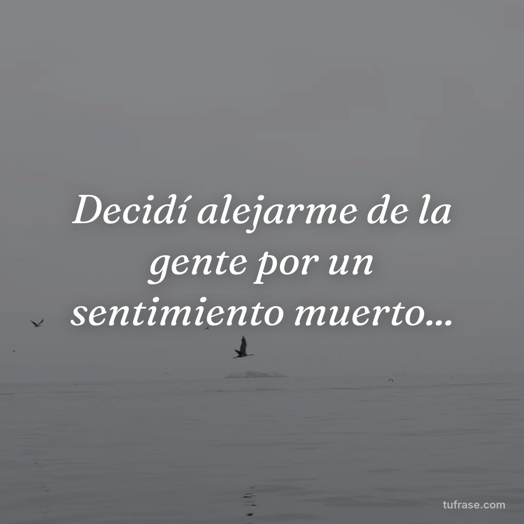 Decidí alejarme de la gente por un sentimiento muerto...