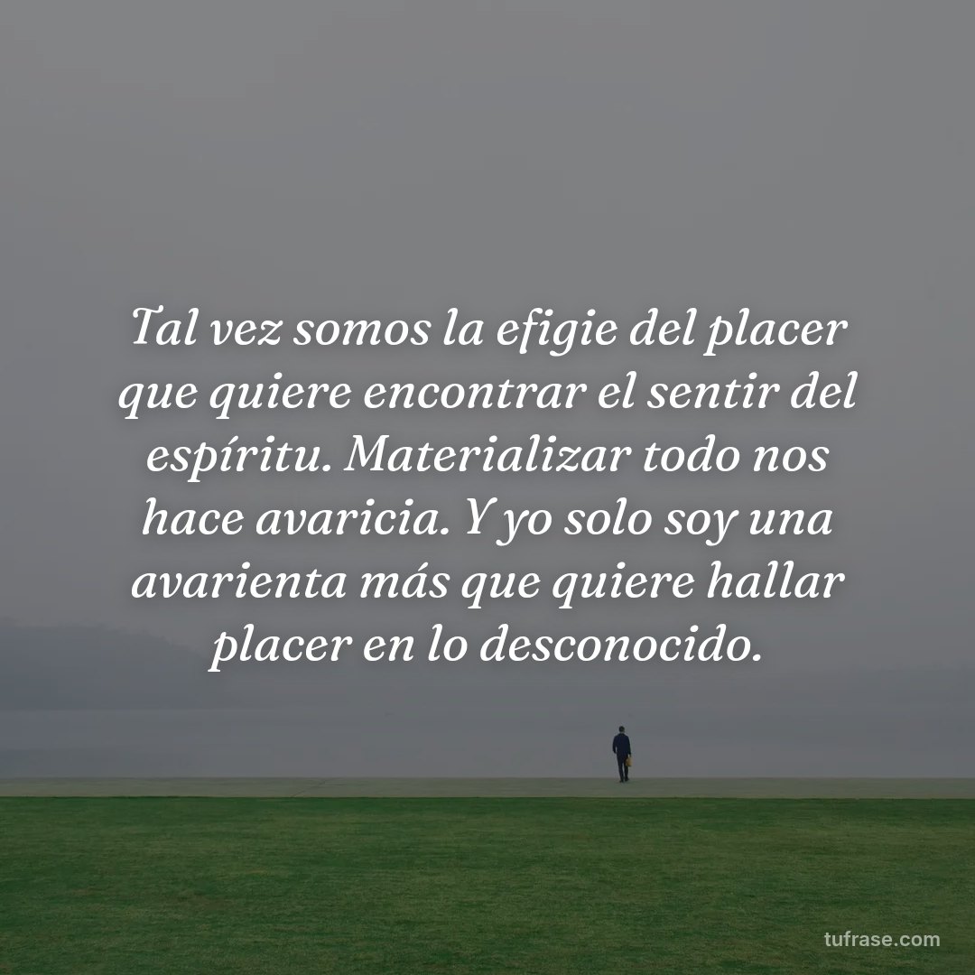 Tal vez somos la efigie del placer que quiere encontrar el sentir del espíritu. Materializar todo nos hace avaricia. Y yo solo soy una avarienta más que quiere hallar placer en lo desconocido.
