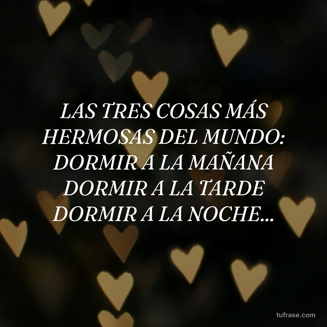 LAS TRES COSAS MÁS HERMOSAS DEL MUNDO: DORMIR A LA MAÑANA DORMIR A LA TARDE DORMIR A LA NOCHE...