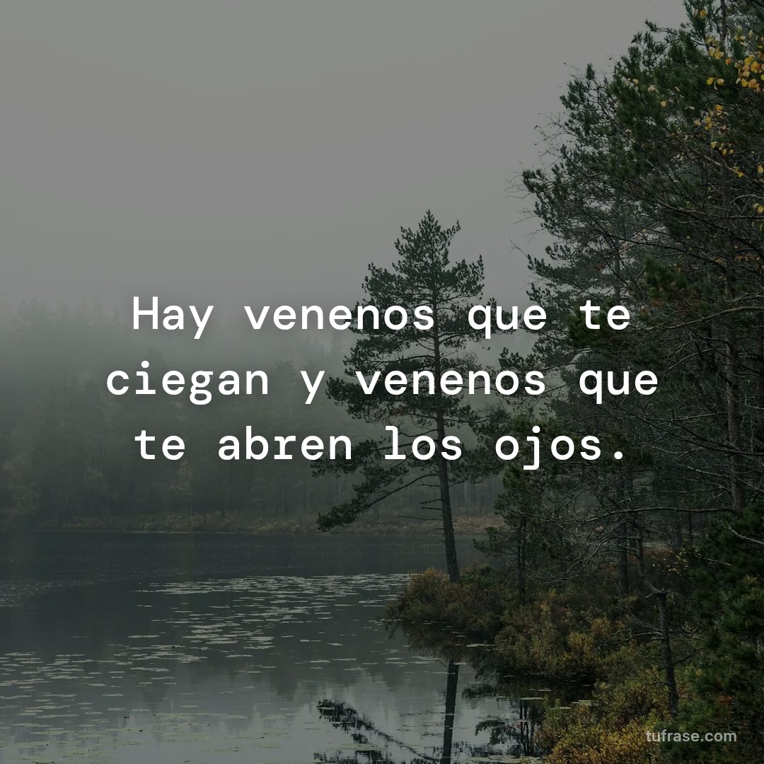 Hay venenos que te ciegan y venenos que te abren los ojos.