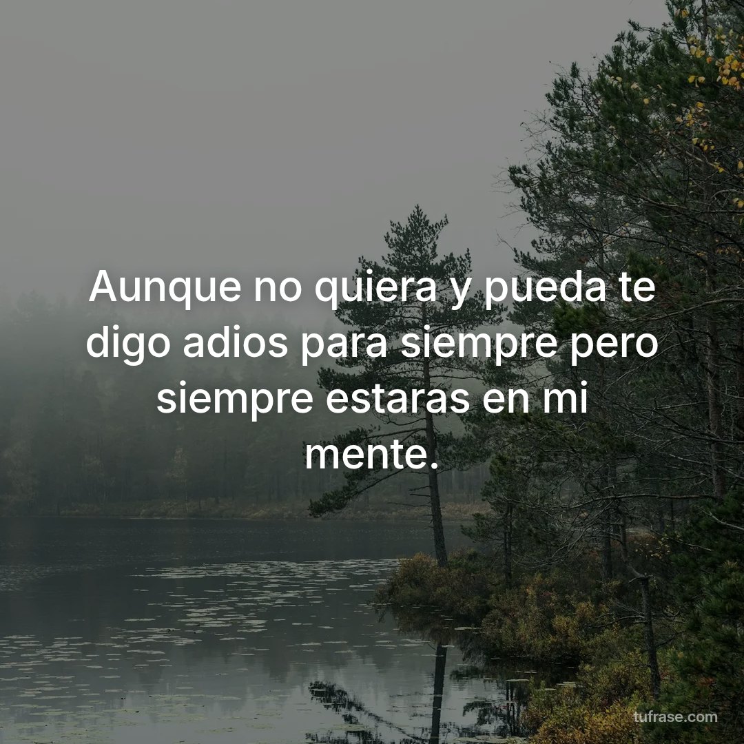 Aunque no quiera y pueda te digo adios para siempre pero siempre estaras en mi mente.