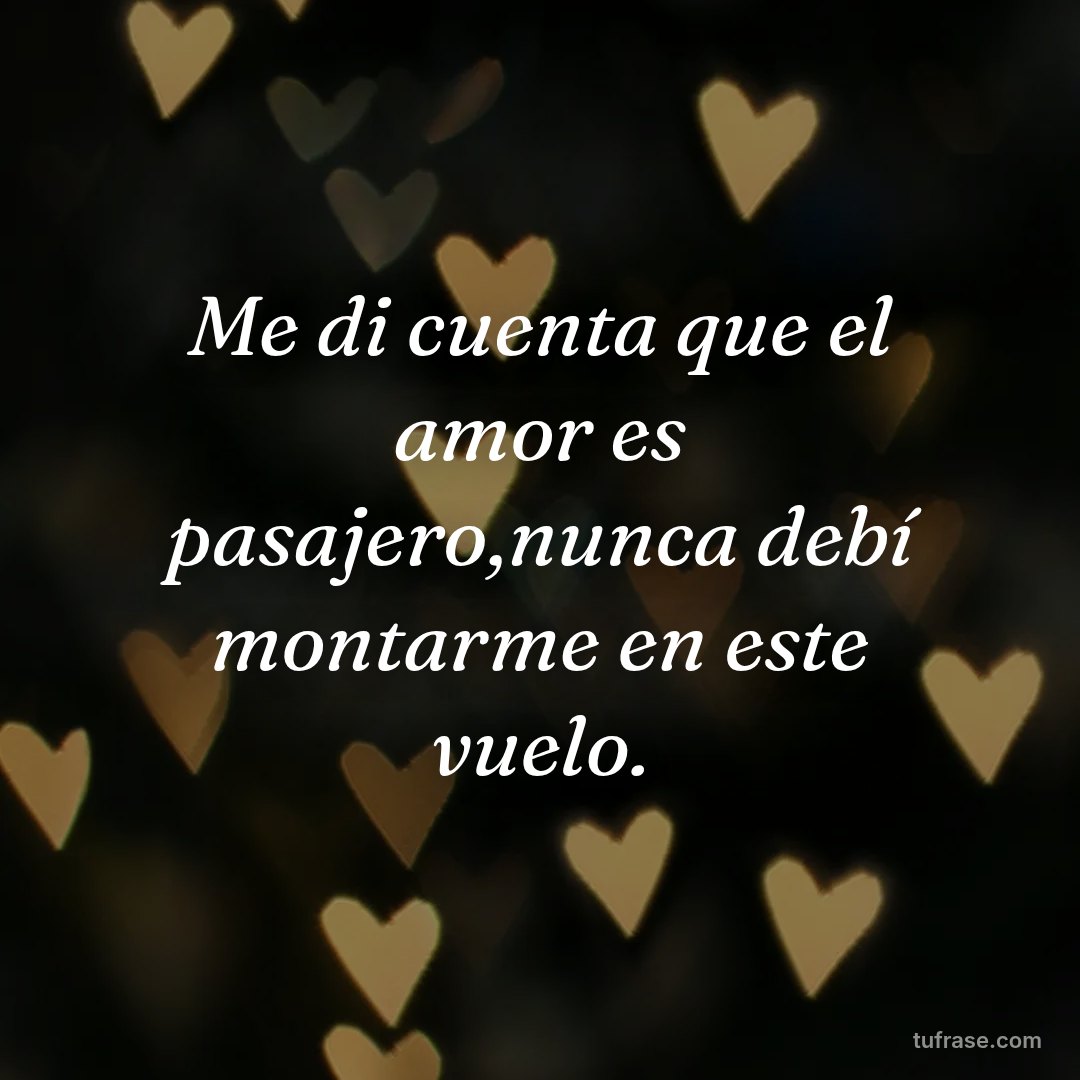 Me di cuenta que el amor es pasajero,nunca debí montarme en este vuelo.