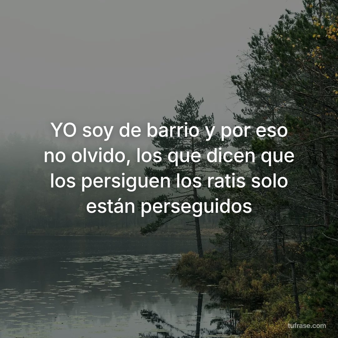YO soy de barrio y por eso no olvido, los que dicen que los persiguen los ratis solo están perseguidos