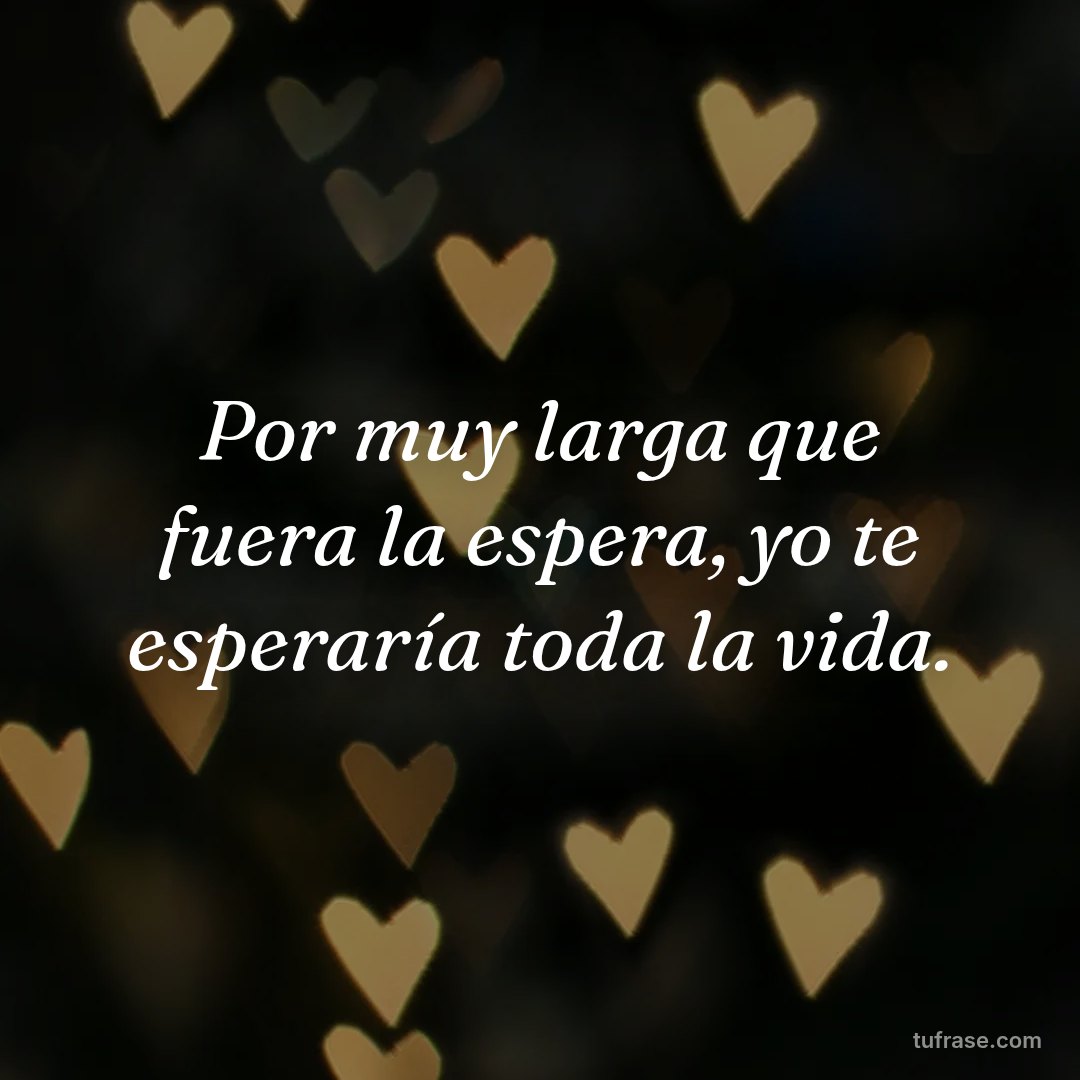 Por muy larga que fuera la espera, yo te esperaría toda la vida.