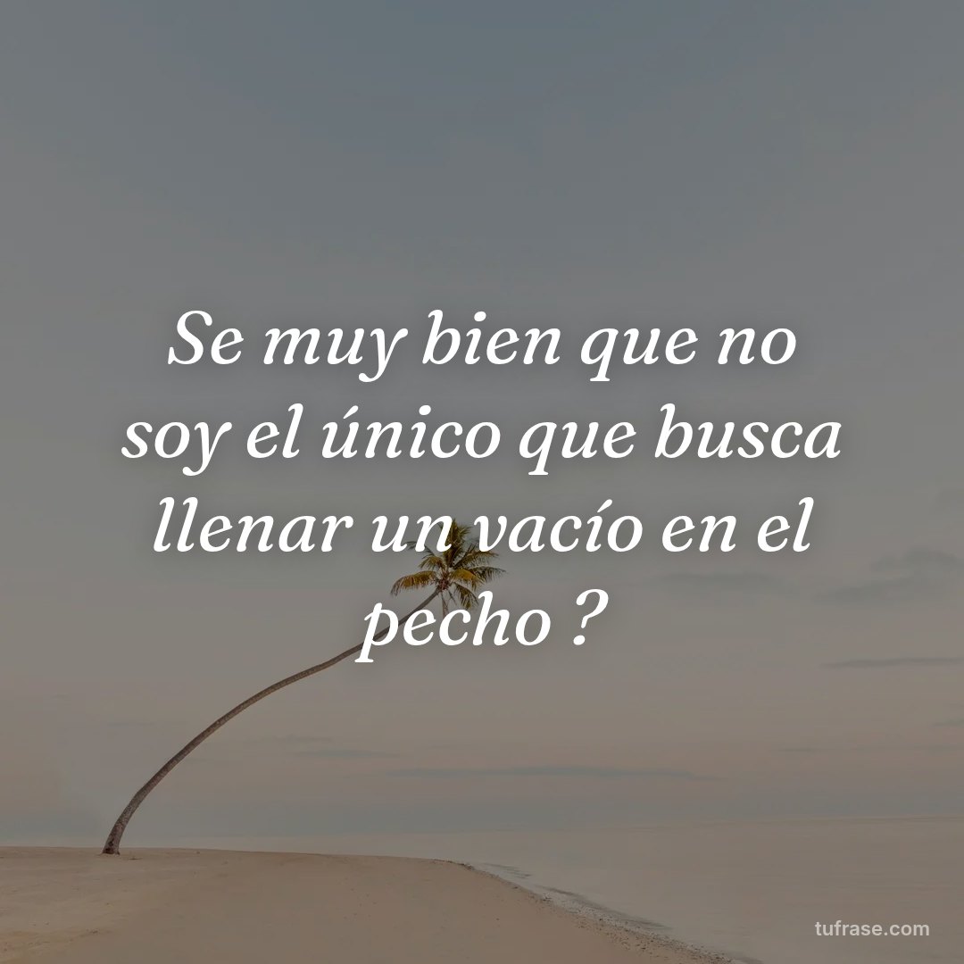 Se muy bien que no soy el único que busca llenar un vacío en el pecho ?
