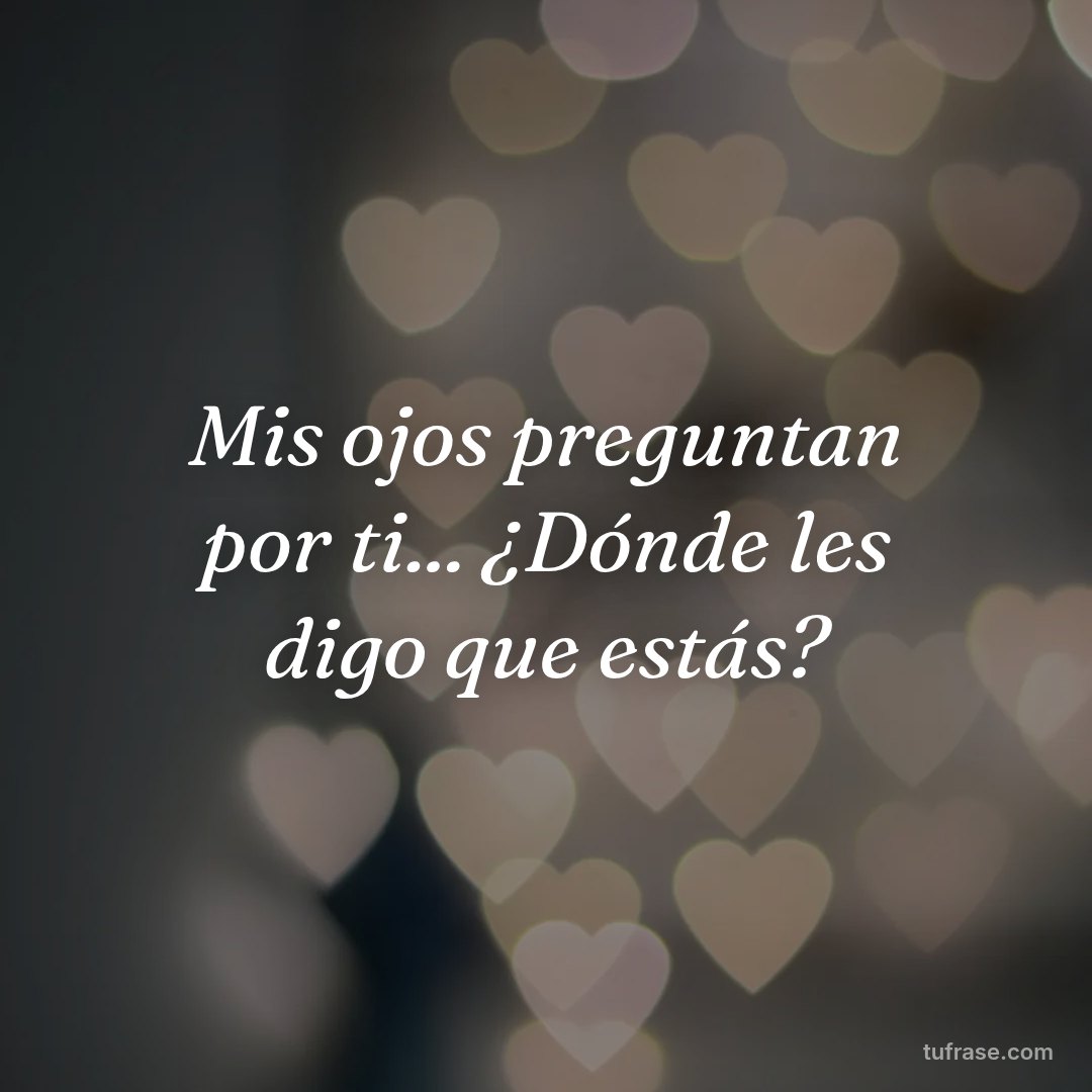 Mis ojos preguntan por ti... ¿Dónde les digo que estás?