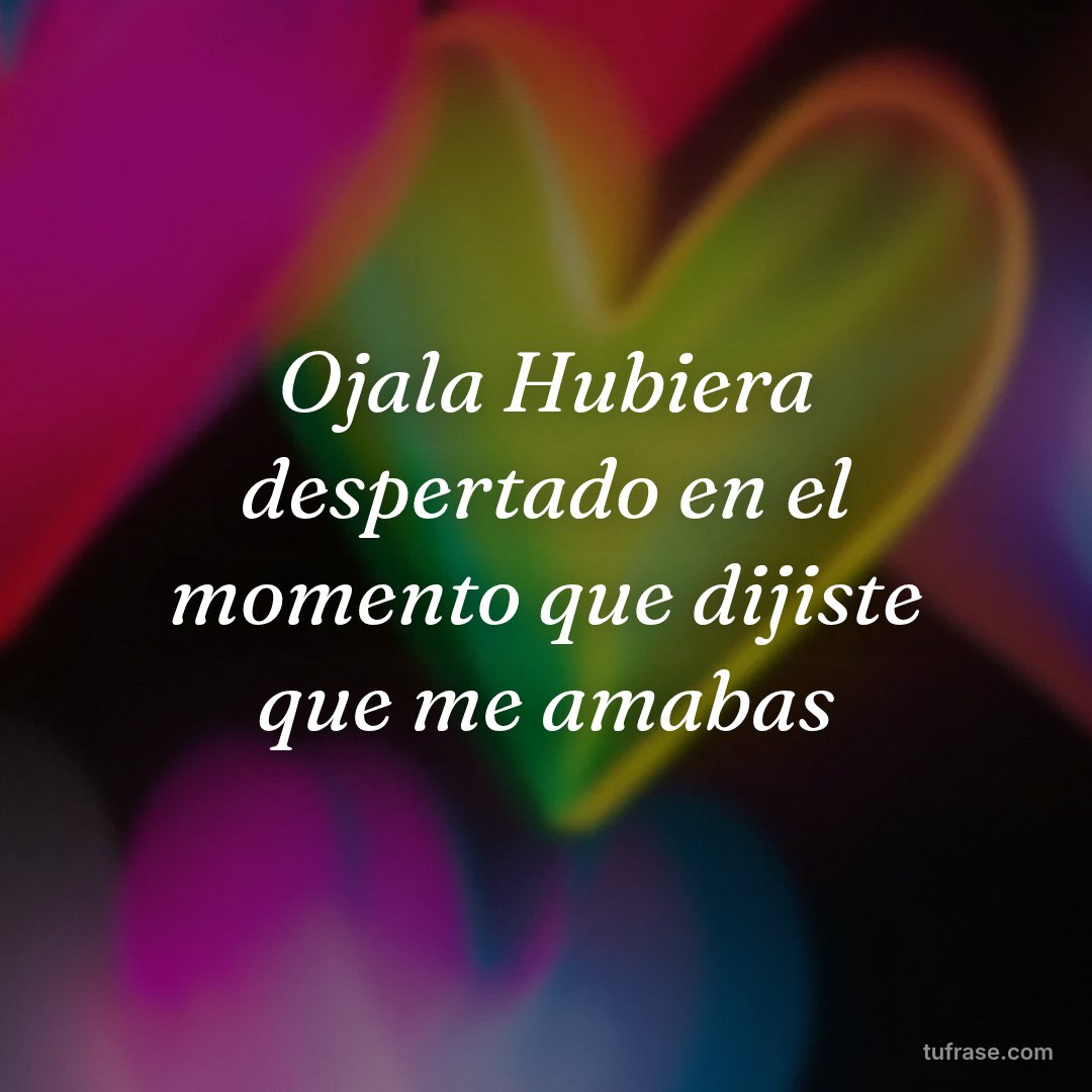 Ojala Hubiera despertado en el momento que dijiste que me amabas