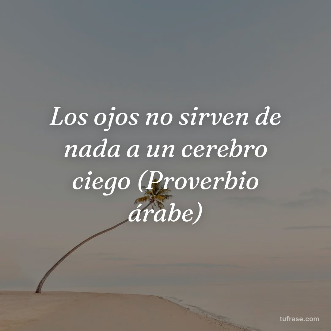 Los ojos no sirven de nada a un cerebro ciego (Proverbio árabe)