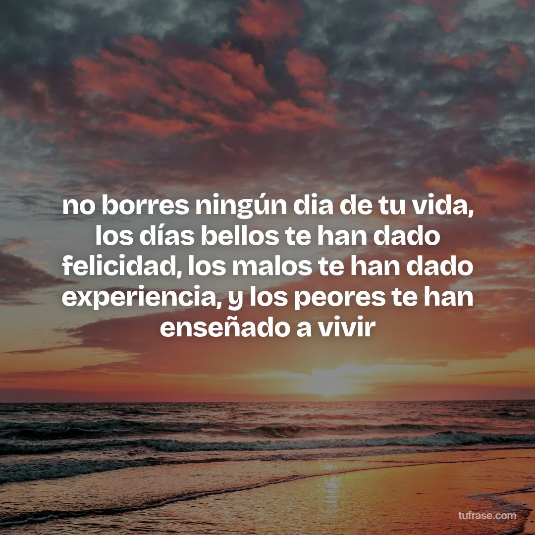 no borres ningún dia de tu vida, los días bellos te han dado felicidad, los malos te han dado experiencia, y los peores te han enseñado a vivir