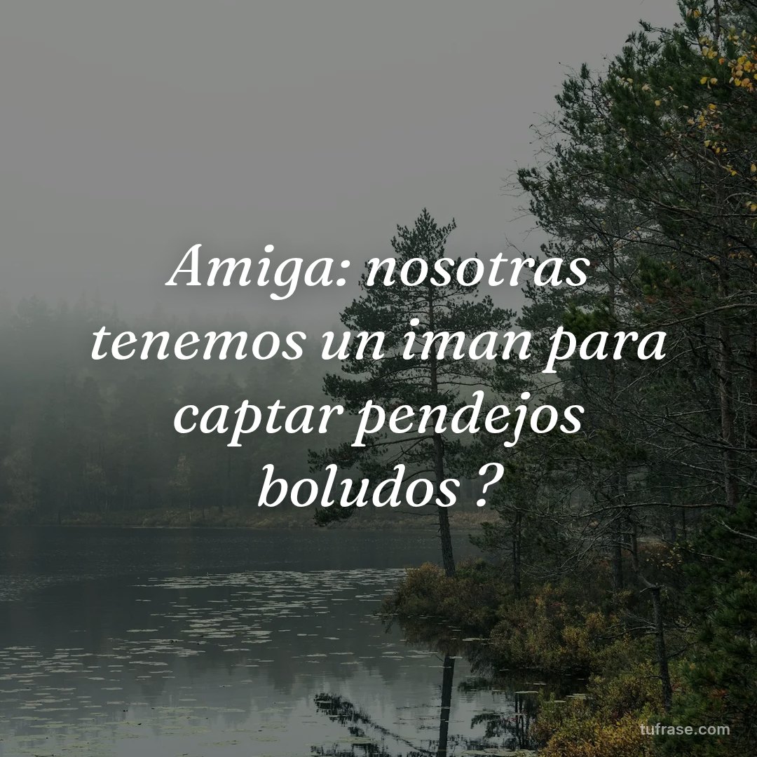 Amiga: nosotras tenemos un iman para captar pendejos boludos ?