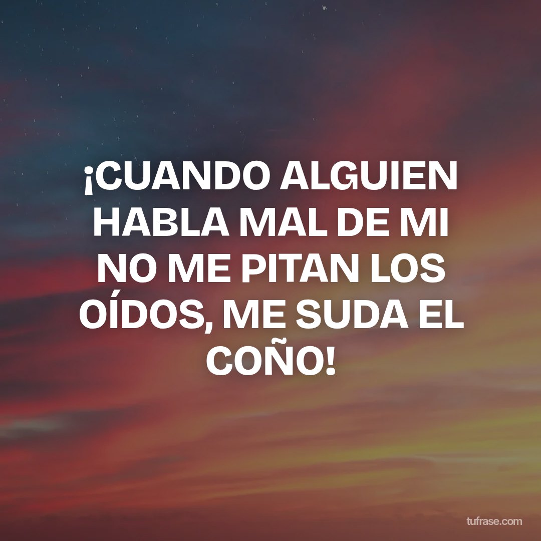 ¡CUANDO ALGUIEN HABLA MAL DE MI NO ME PITAN LOS OÍDOS, ME SUDA EL COÑO!