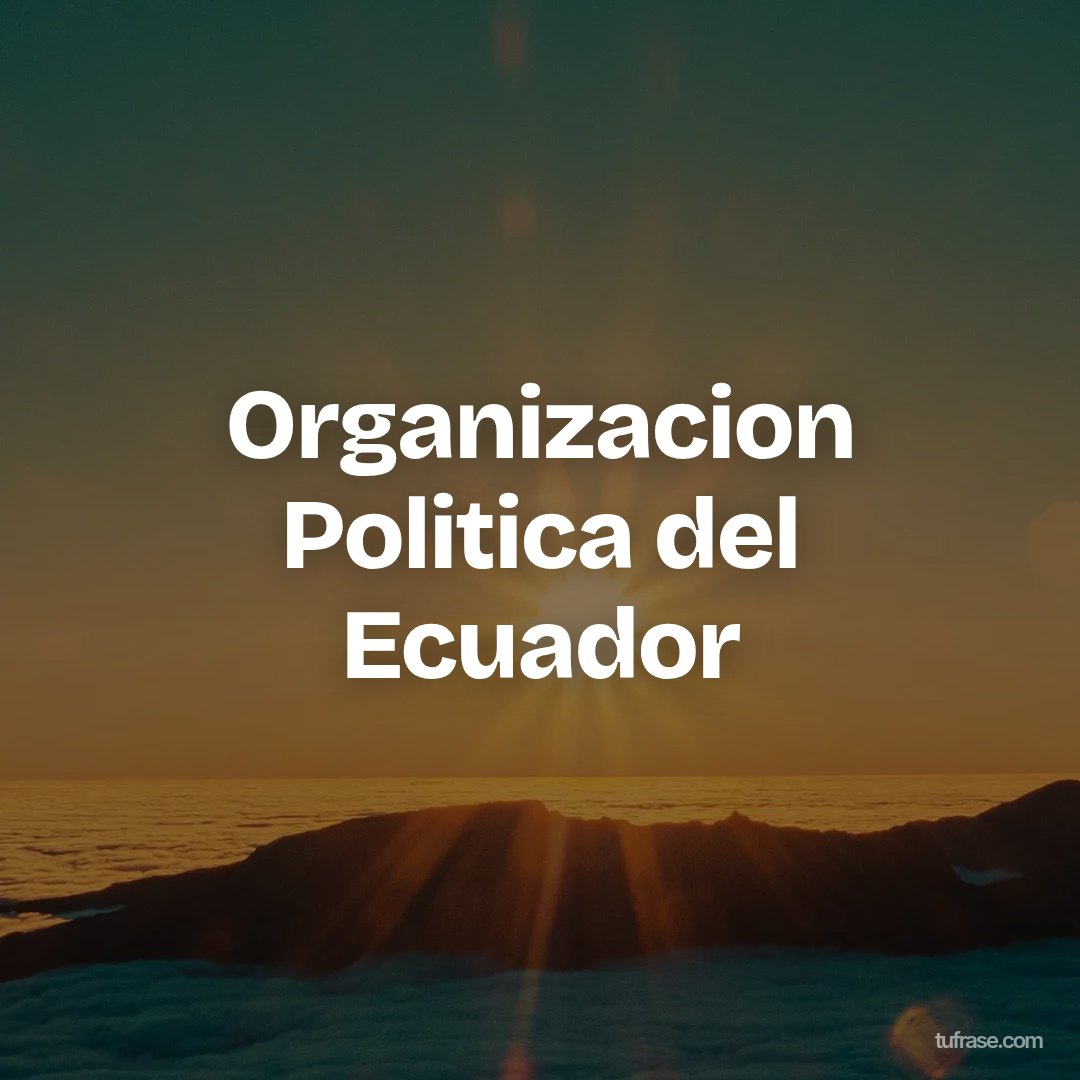 Organizacion Politica del Ecuador