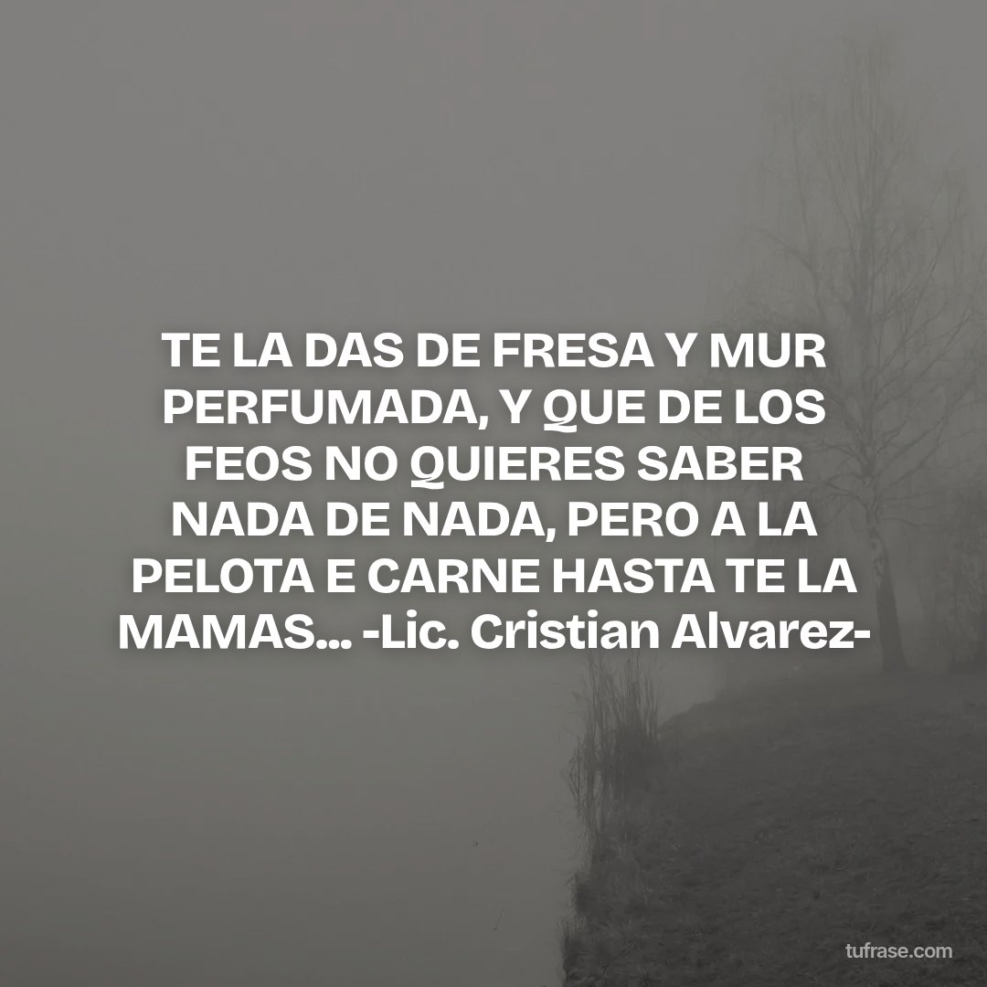 TE LA DAS DE FRESA Y MUR PERFUMADA, Y QUE DE LOS FEOS NO QUIERES SABER NADA DE NADA, PERO A LA PELOTA E CARNE HASTA TE LA MAMAS... -Lic. Cristian Alvarez-
