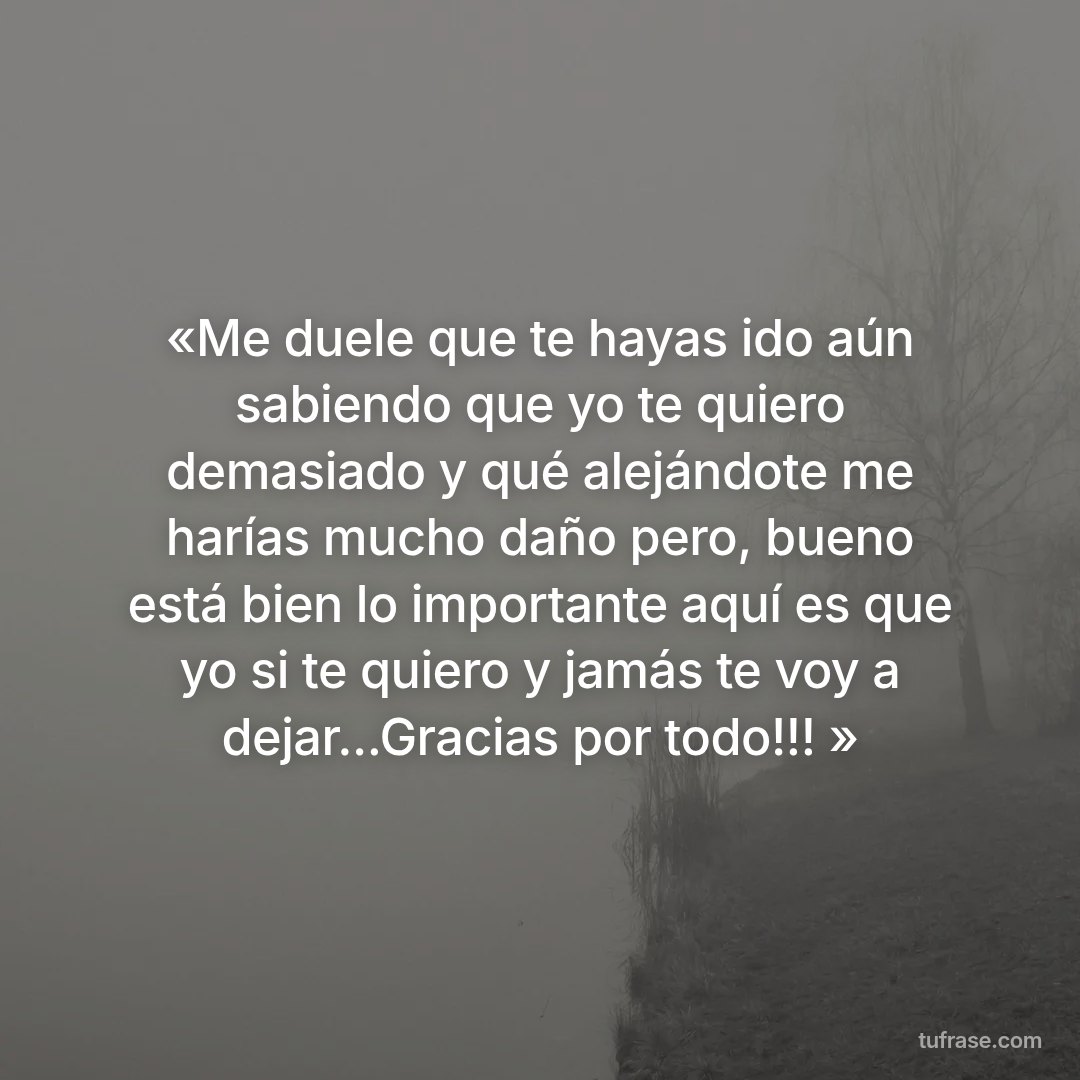 «Me duele que te hayas ido aún sabiendo que yo te quiero demasiado y qué alejándote me harías mucho daño pero, bueno está bien lo importante aquí es que yo si te quiero y jamás te voy a dejar...Gracias por todo!!! »