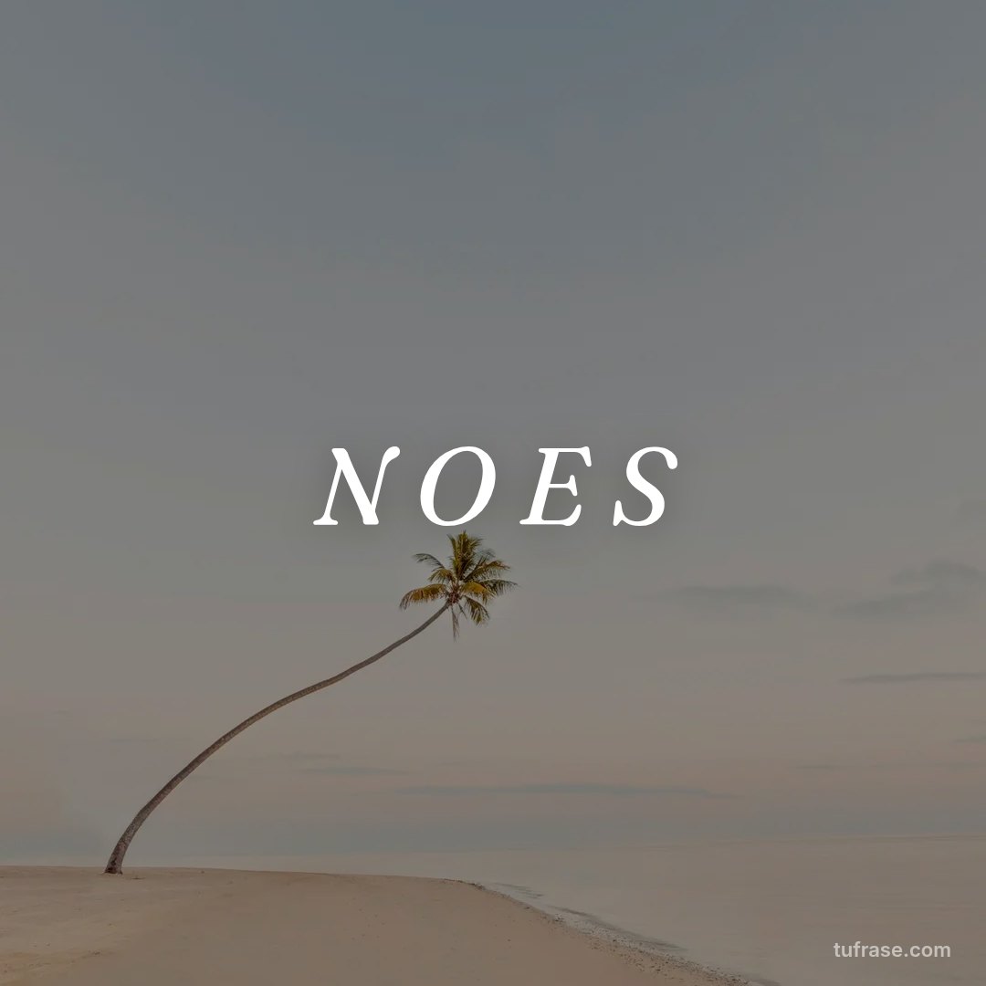 N O E S