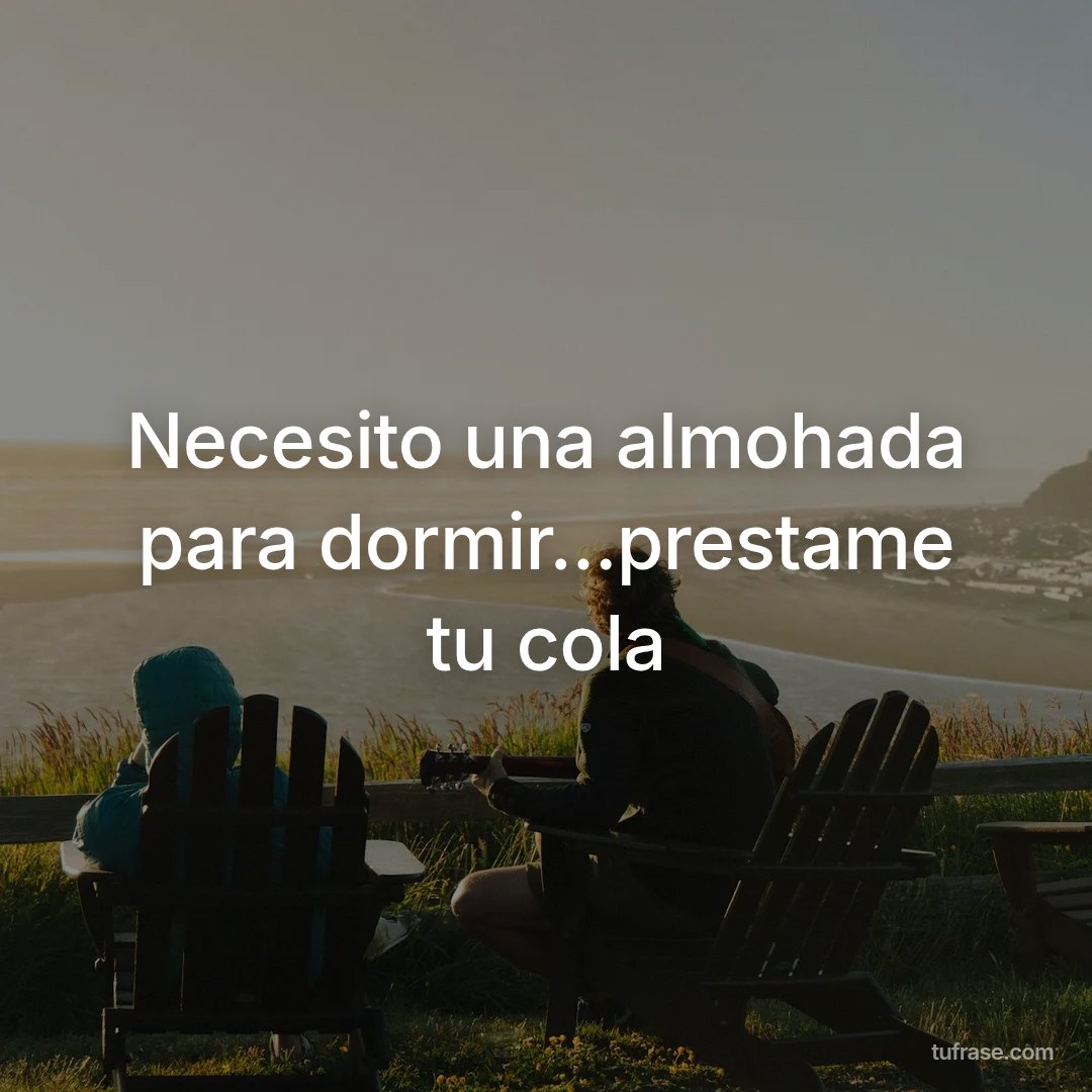 Necesito una almohada para dormir...prestame tu cola