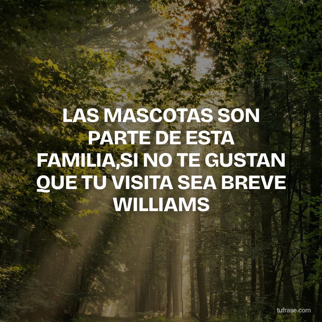 LAS MASCOTAS SON PARTE DE ESTA FAMILIA,SI NO TE GUSTAN QUE TU VISITA SEA BREVE WILLIAMS