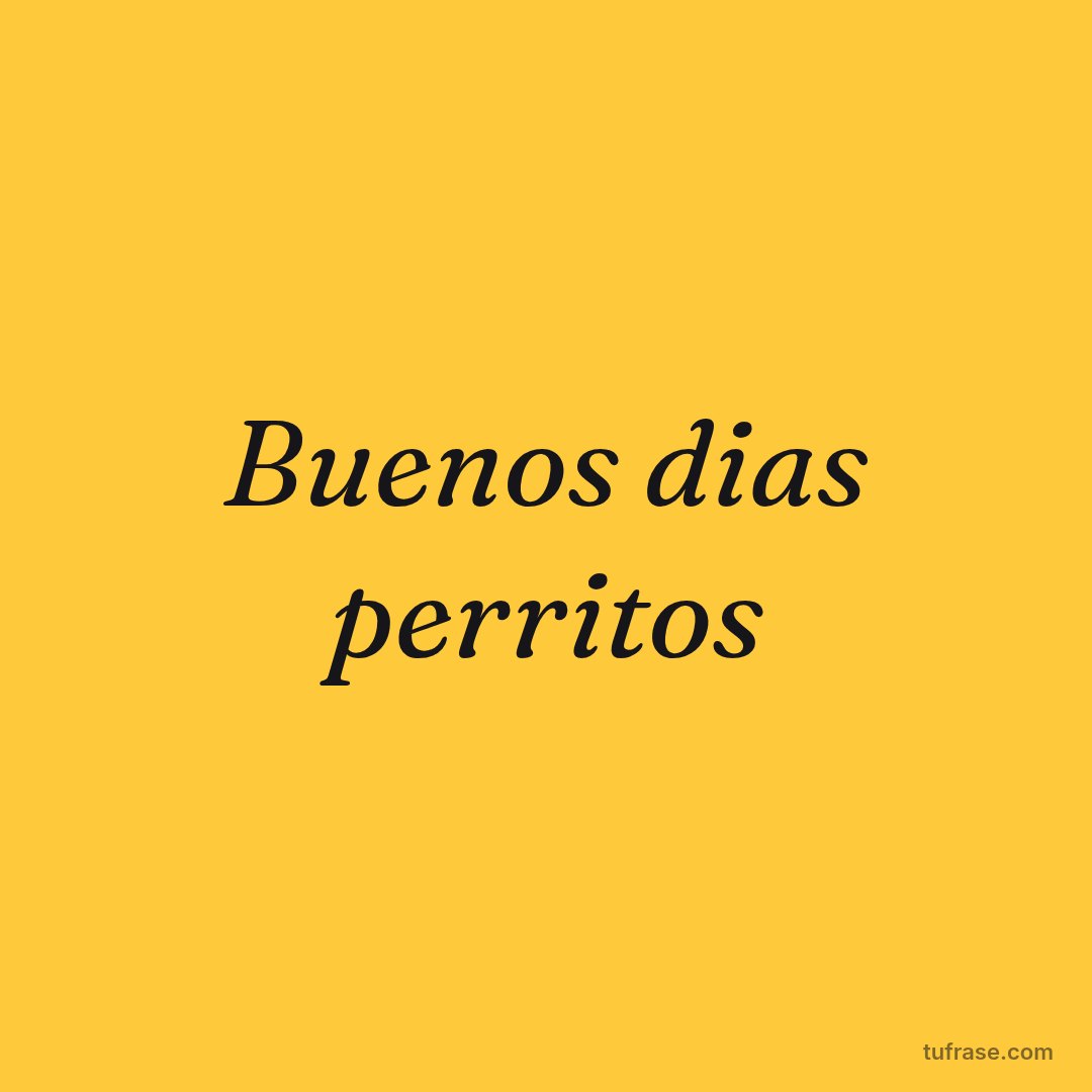 Buenos dias perritos