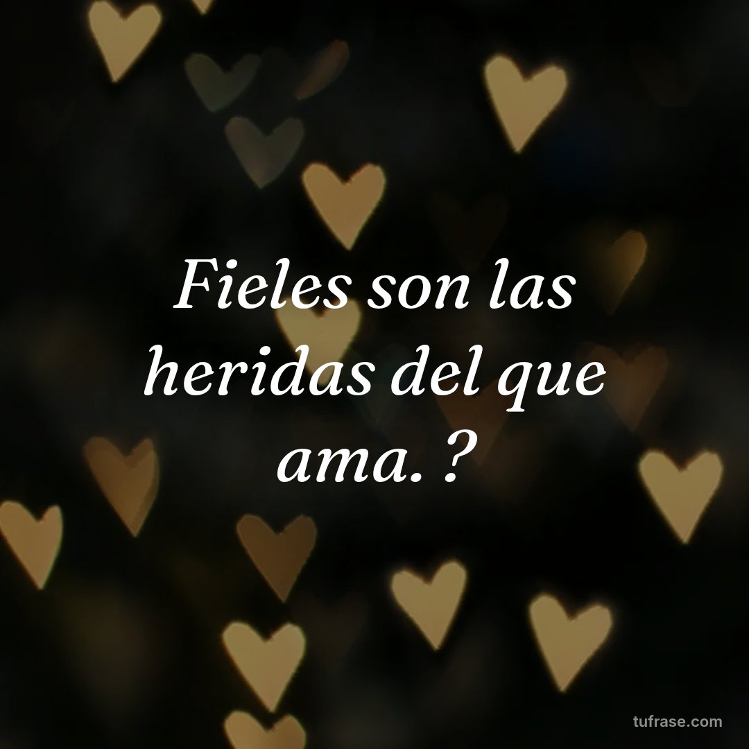 Fieles son las heridas del que ama. ?