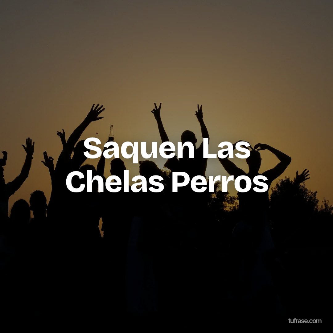 Saquen Las Chelas Perros