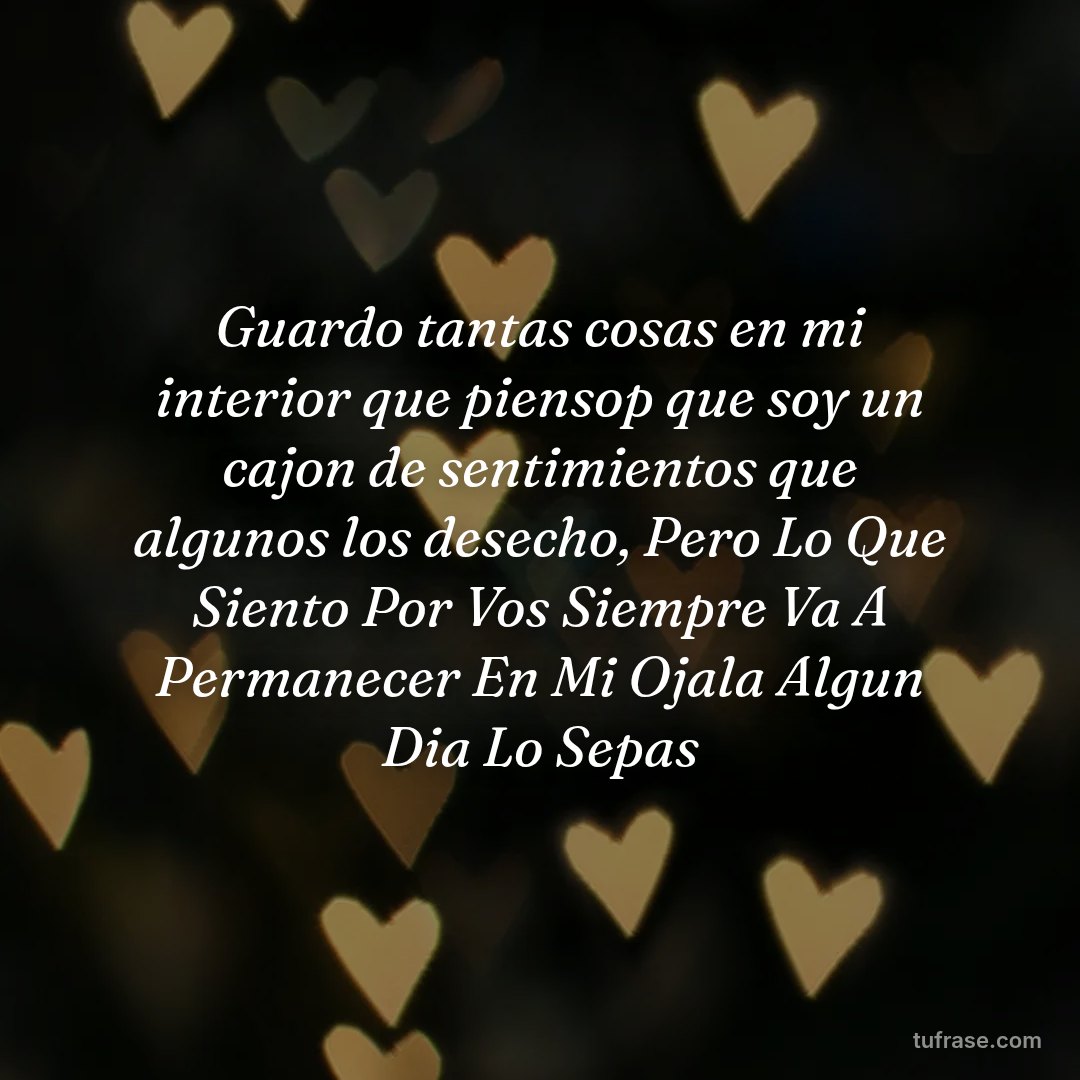 Guardo tantas cosas en mi interior que piensop que soy un cajon de sentimientos que algunos los desecho, Pero Lo Que Siento Por Vos Siempre Va A Permanecer En Mi Ojala Algun Dia Lo Sepas