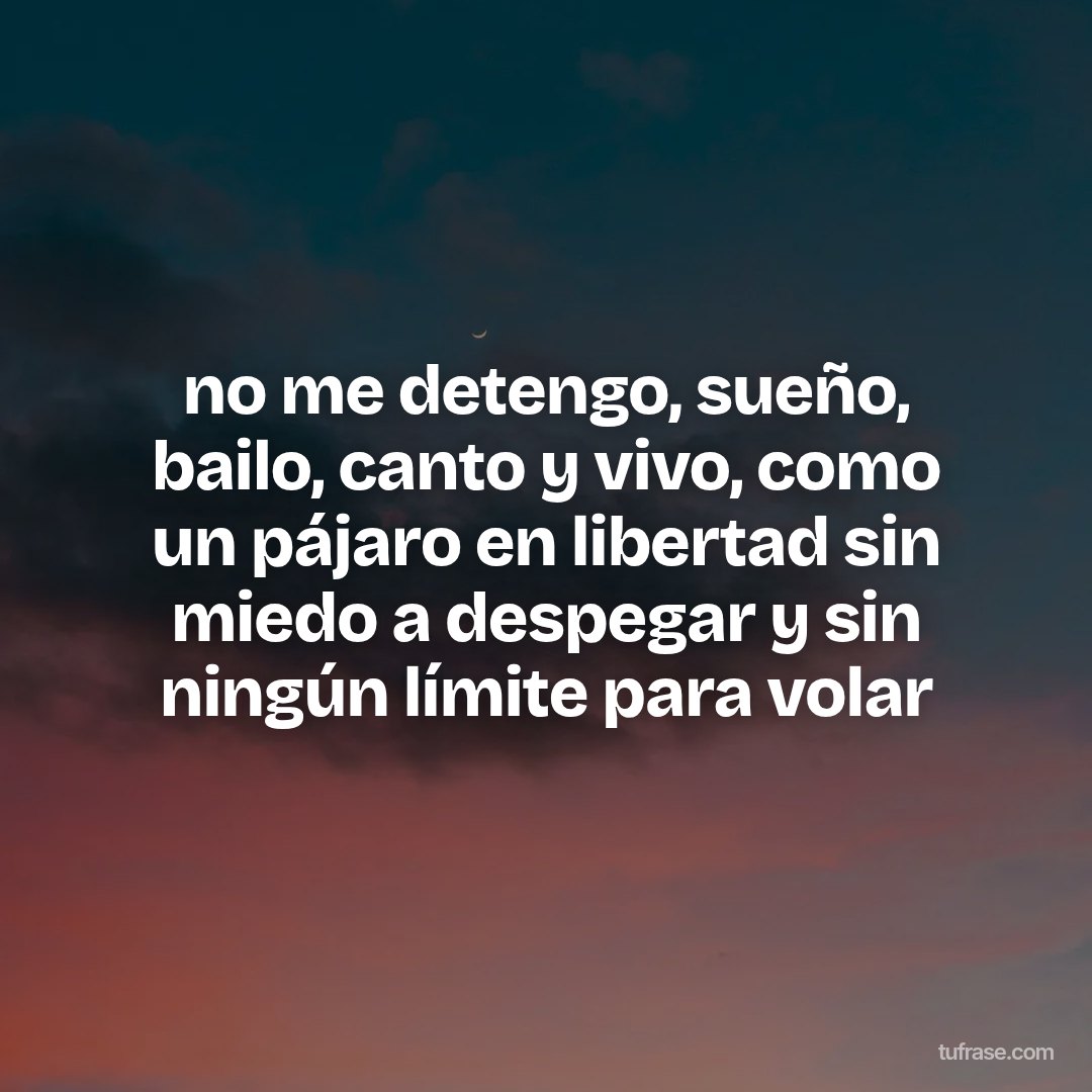 no me detengo, sueño, bailo, canto y vivo, como un pájaro en libertad sin miedo a despegar y sin ningún límite para volar
