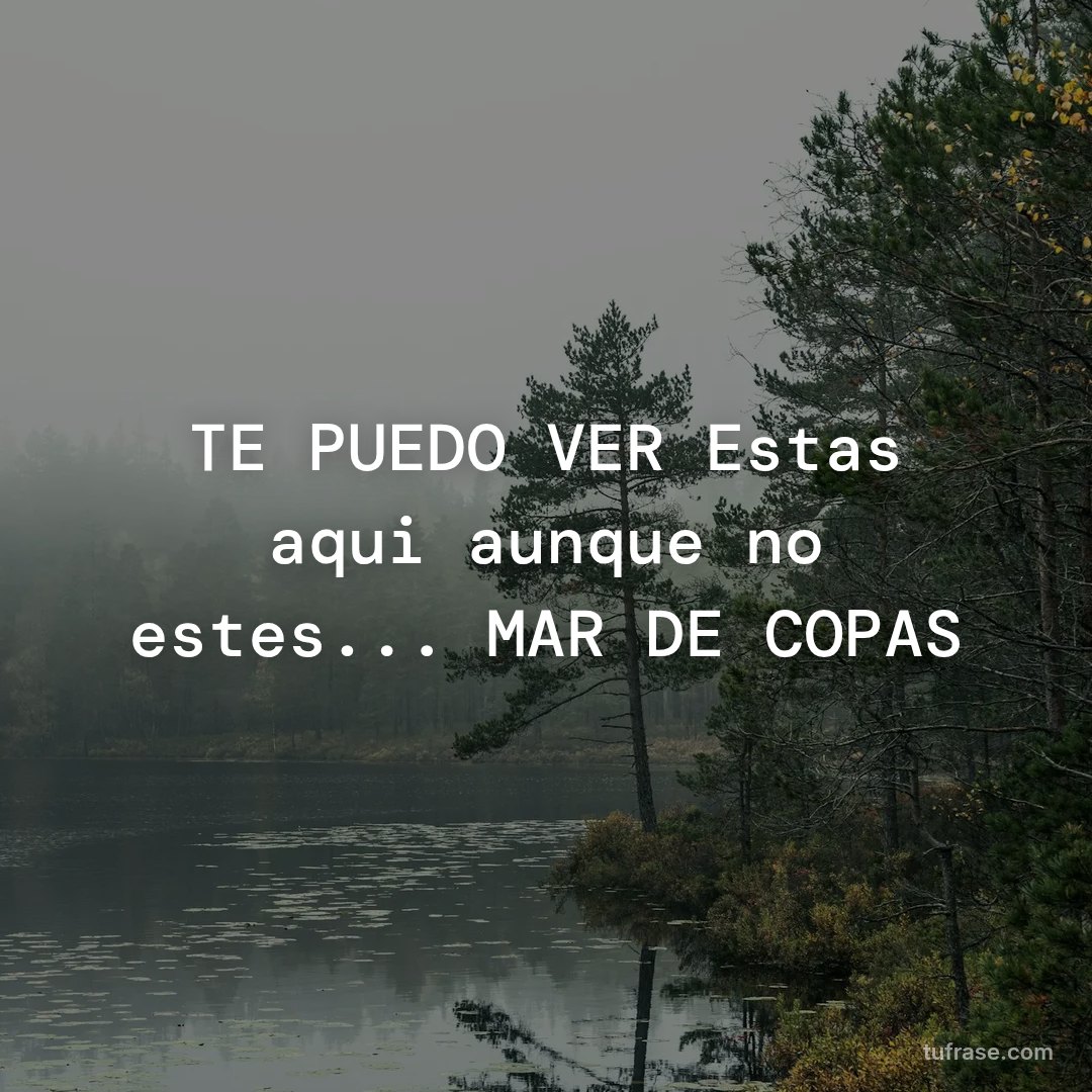TE PUEDO VER Estas aqui aunque no estes... MAR DE COPAS