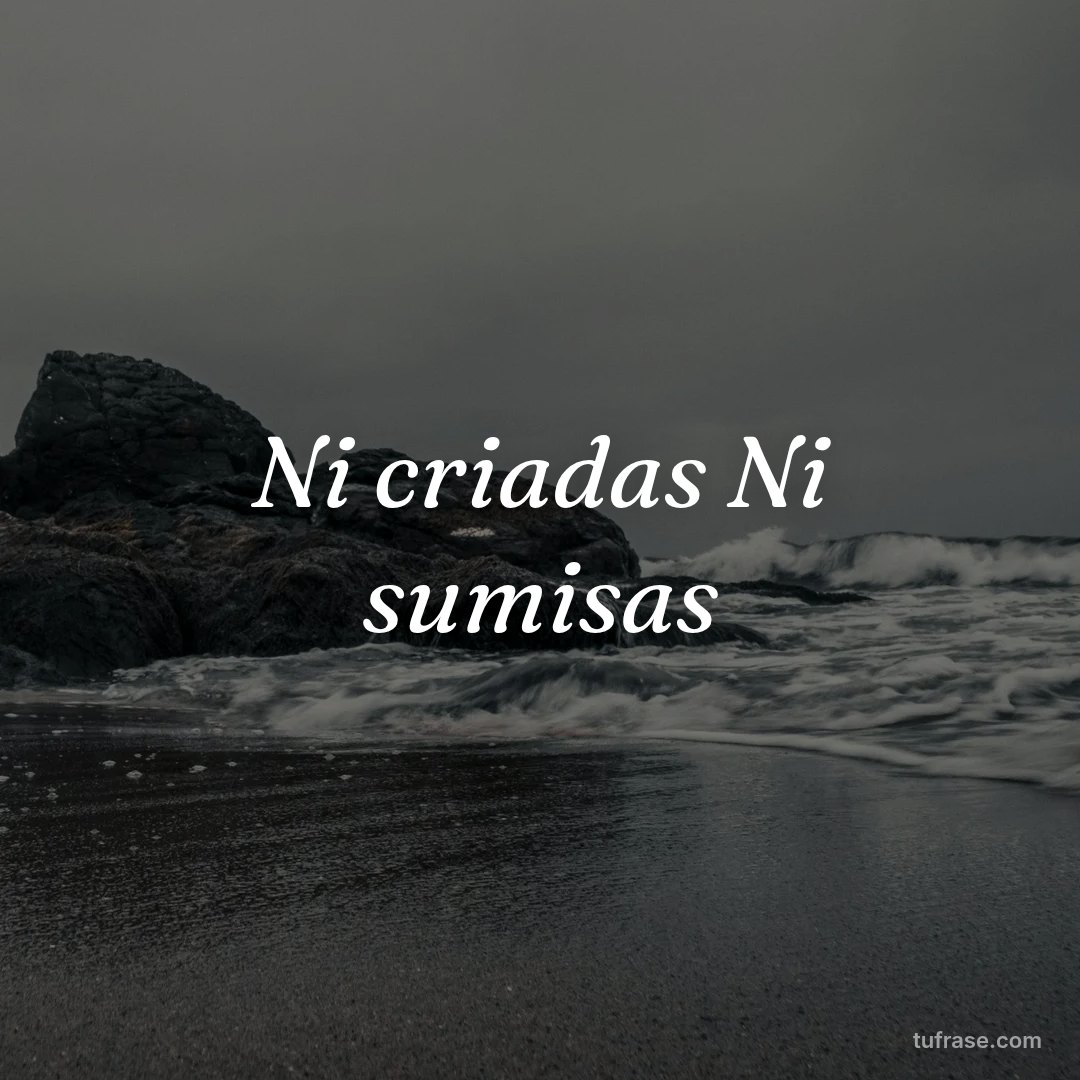 Ni criadas Ni sumisas