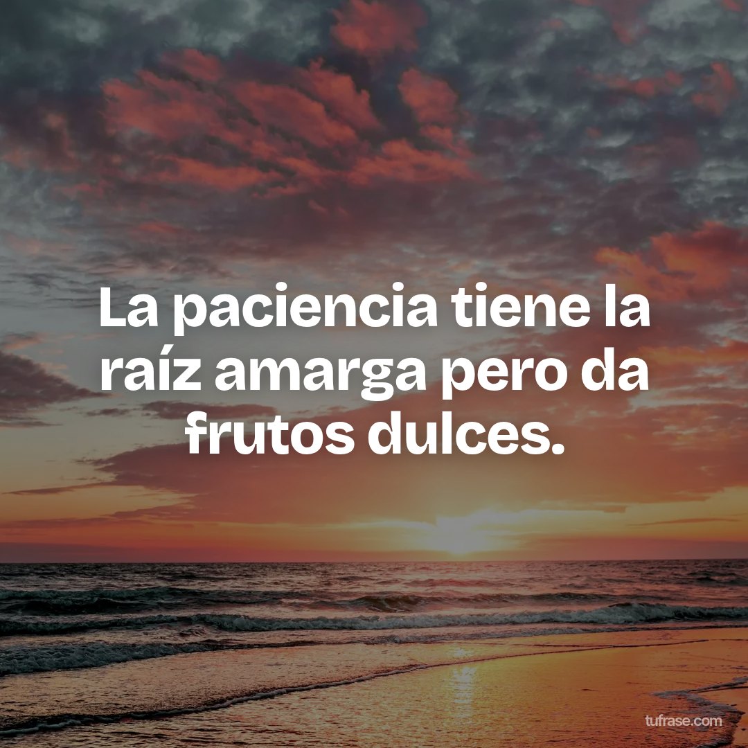 La paciencia tiene la raíz amarga pero da frutos dulces.