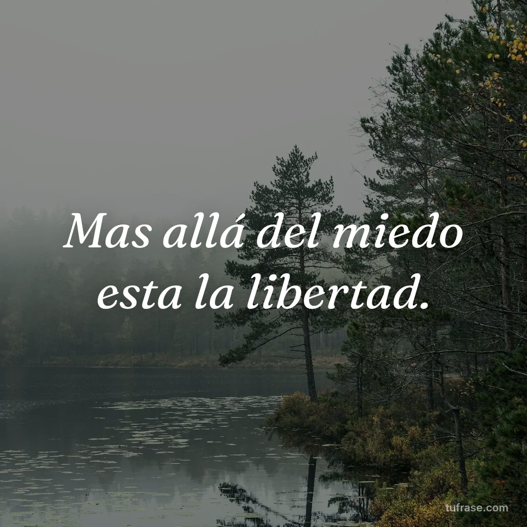 Mas allá del miedo esta la libertad.