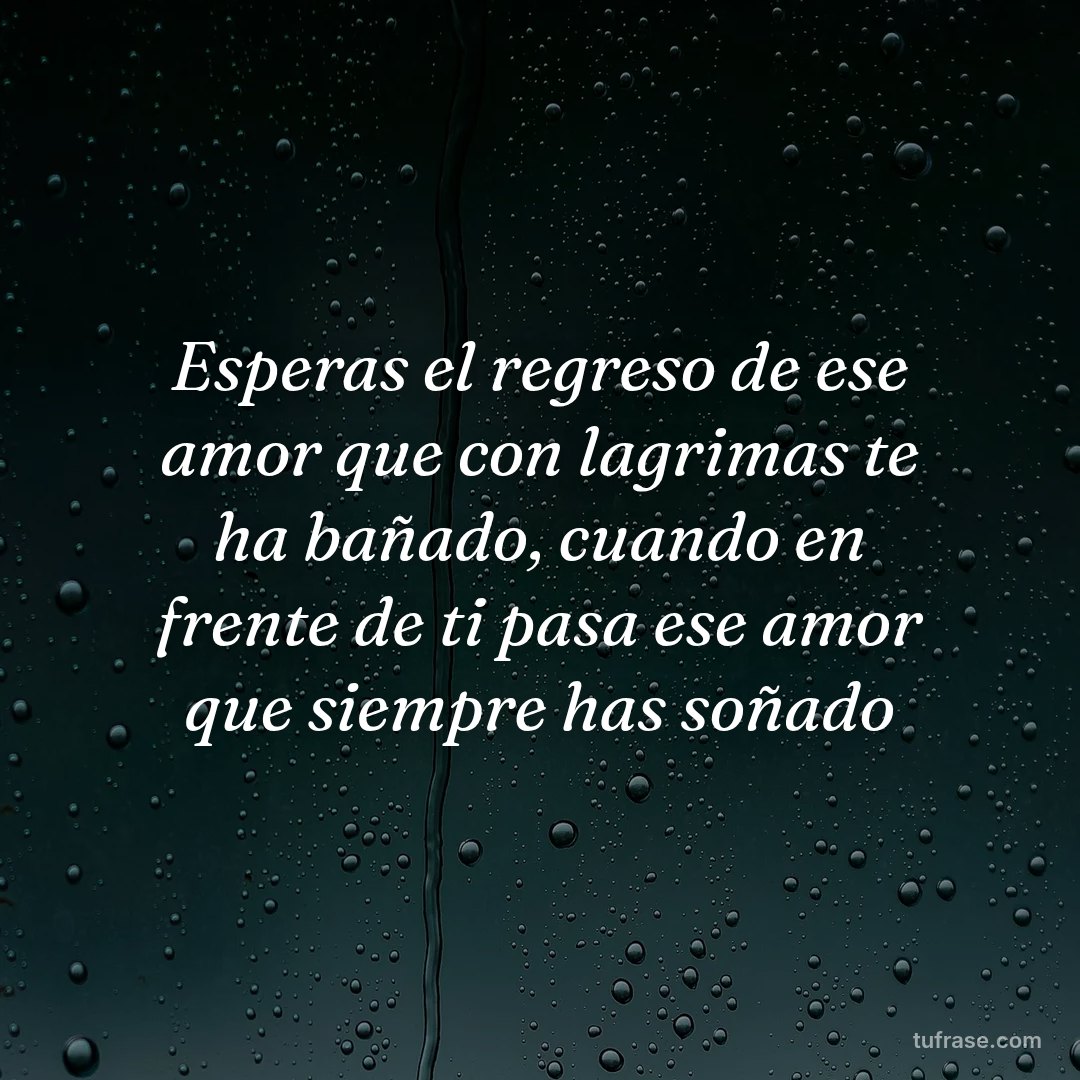 Esperas el regreso de ese amor que con lagrimas te ha bañado, cuando en frente de ti pasa ese amor que siempre has soñado