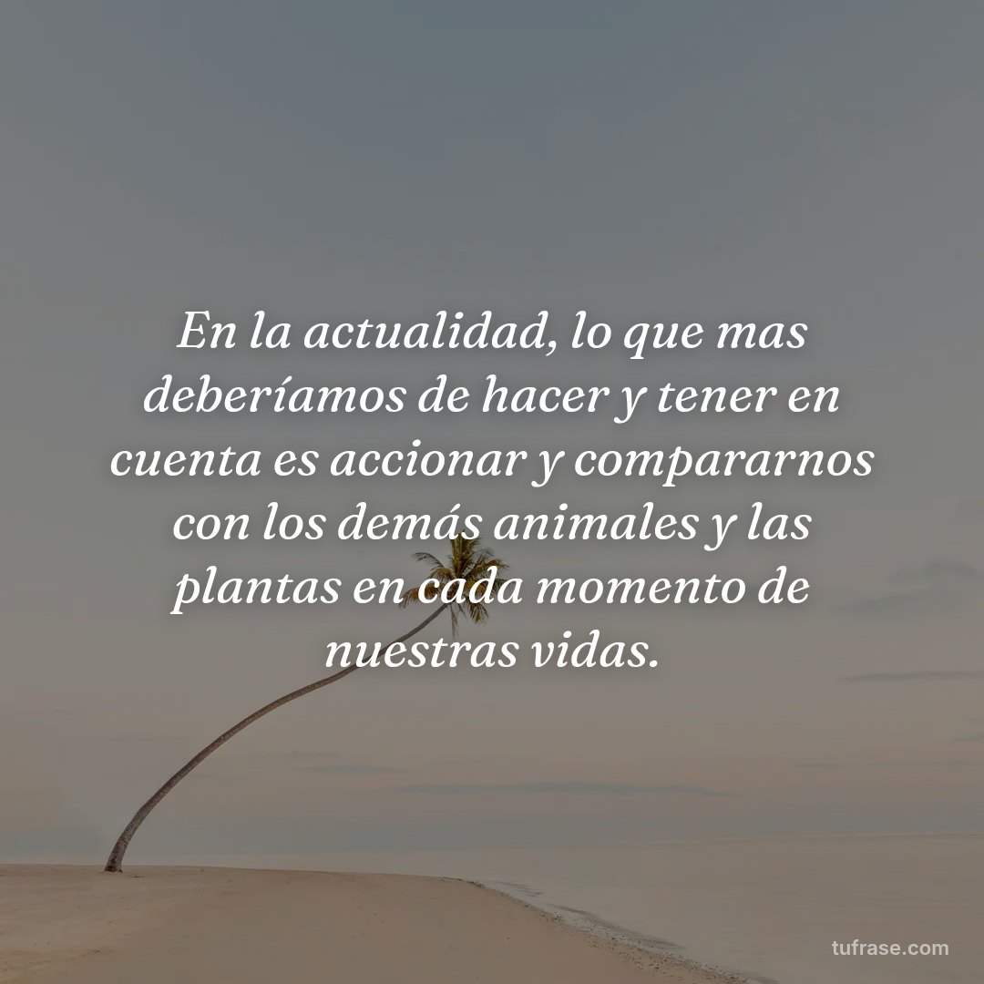 En la actualidad, lo que mas deberíamos de hacer y tener en cuenta es accionar y compararnos con los demás animales y las plantas en cada momento de nuestras vidas.