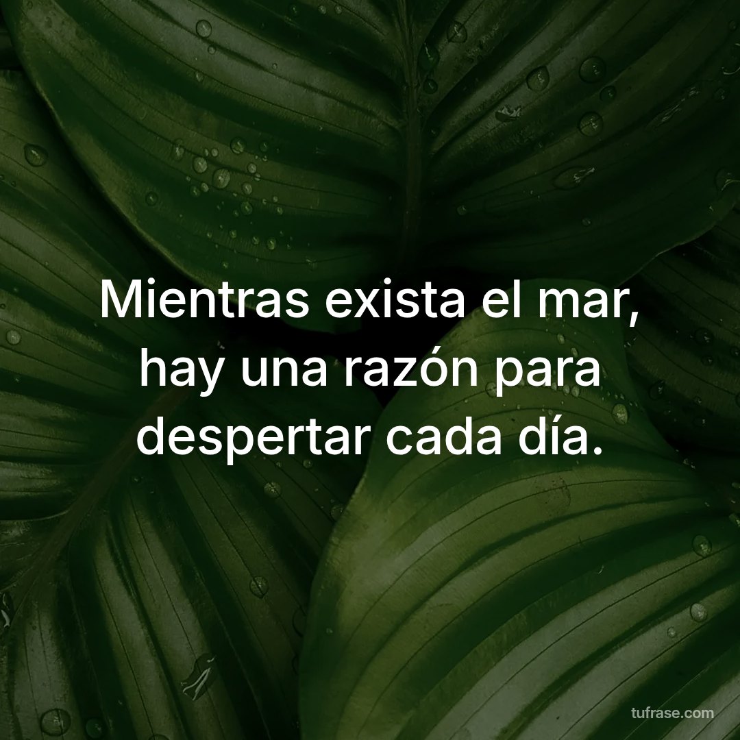 Mientras exista el mar, hay una razón para despertar cada día.