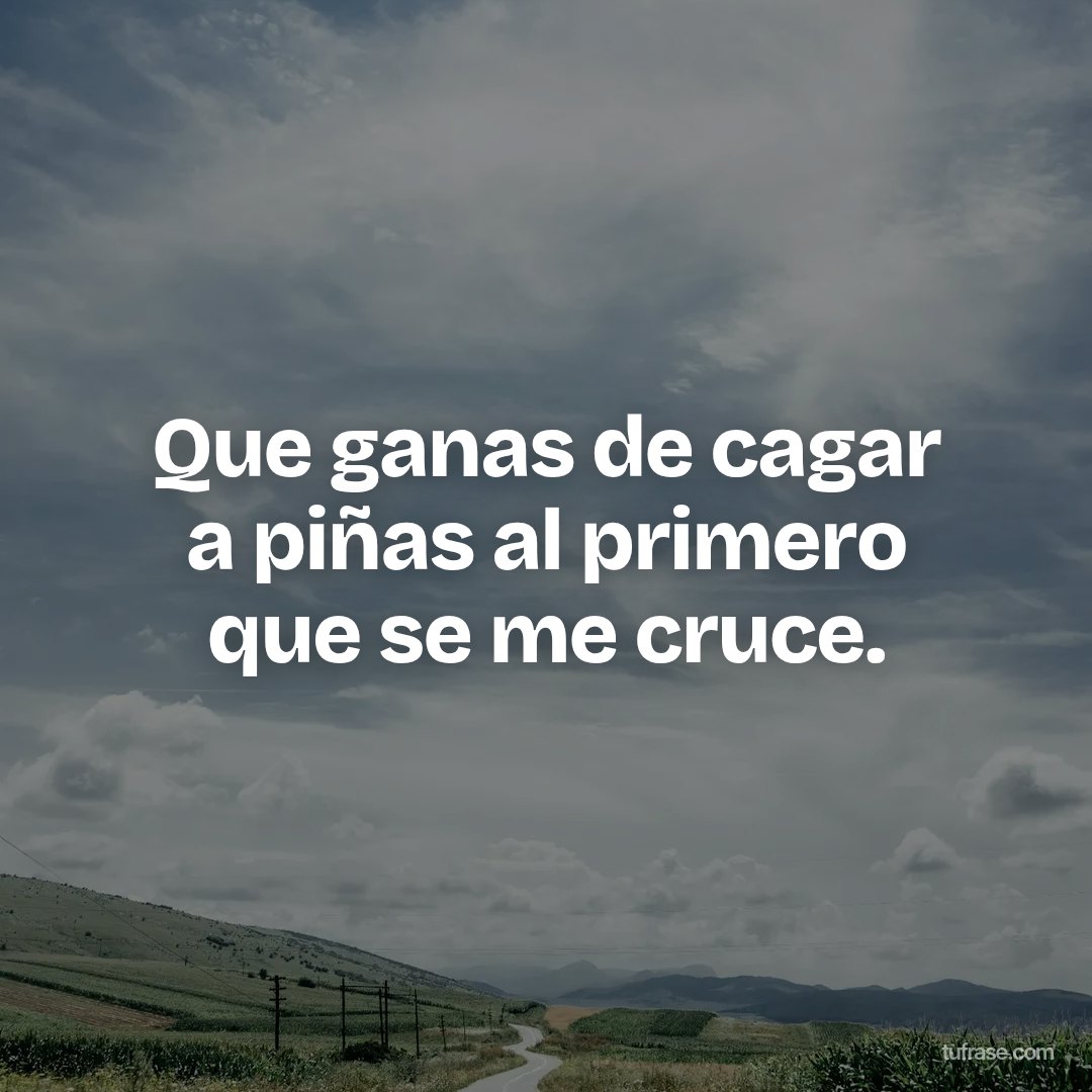 Que ganas de cagar a piñas al primero que se me cruce.