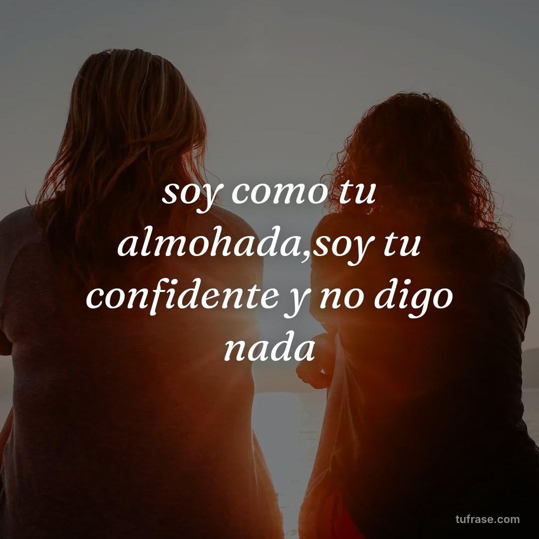 soy como tu almohada,soy tu confidente y no digo nada