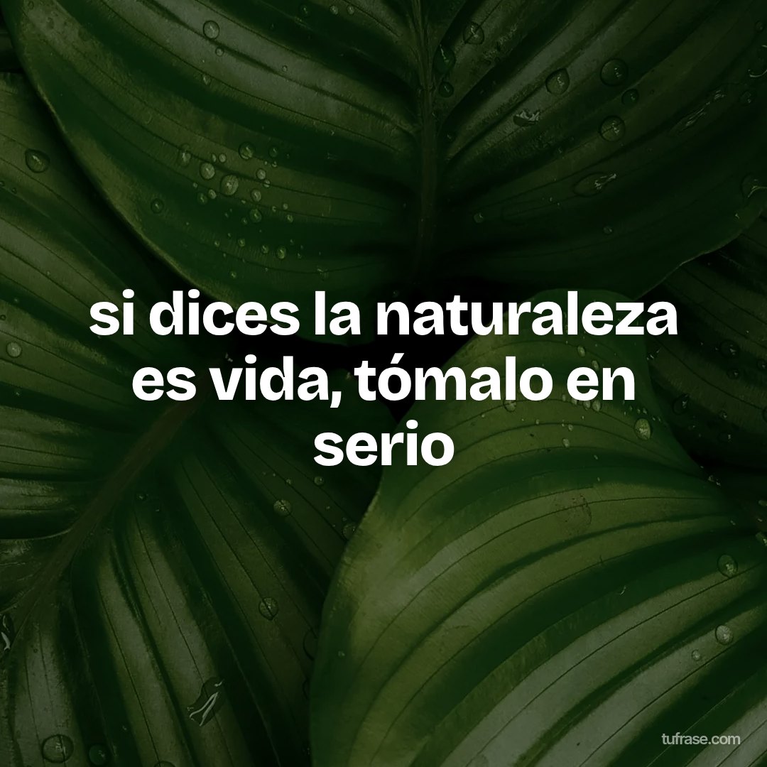 si dices la naturaleza es vida, tómalo en serio