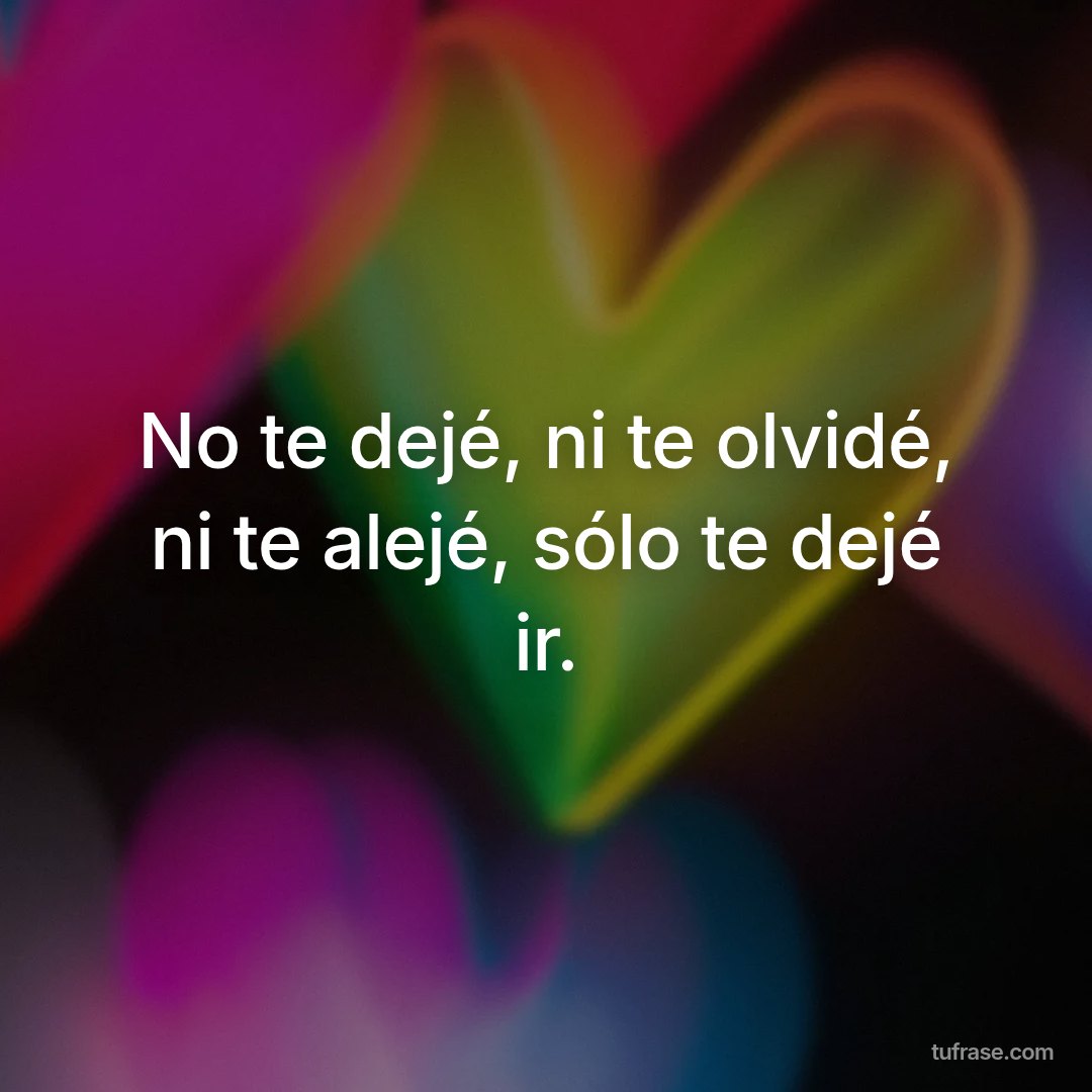 No te dejé, ni te olvidé, ni te alejé, sólo te dejé ir.