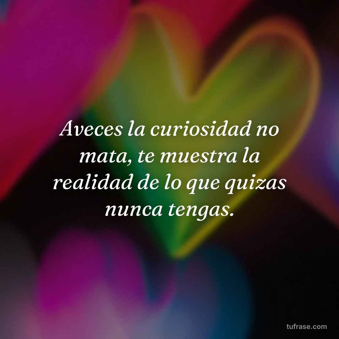 Aveces la curiosidad no mata, te muestra la realidad de lo que quizas nunca tengas.