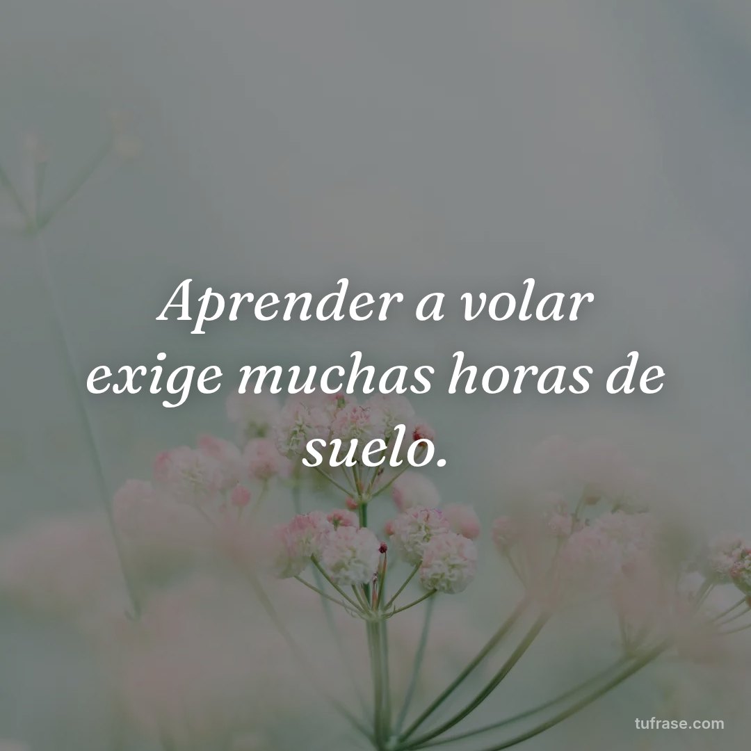 Aprender a volar exige muchas horas de suelo.