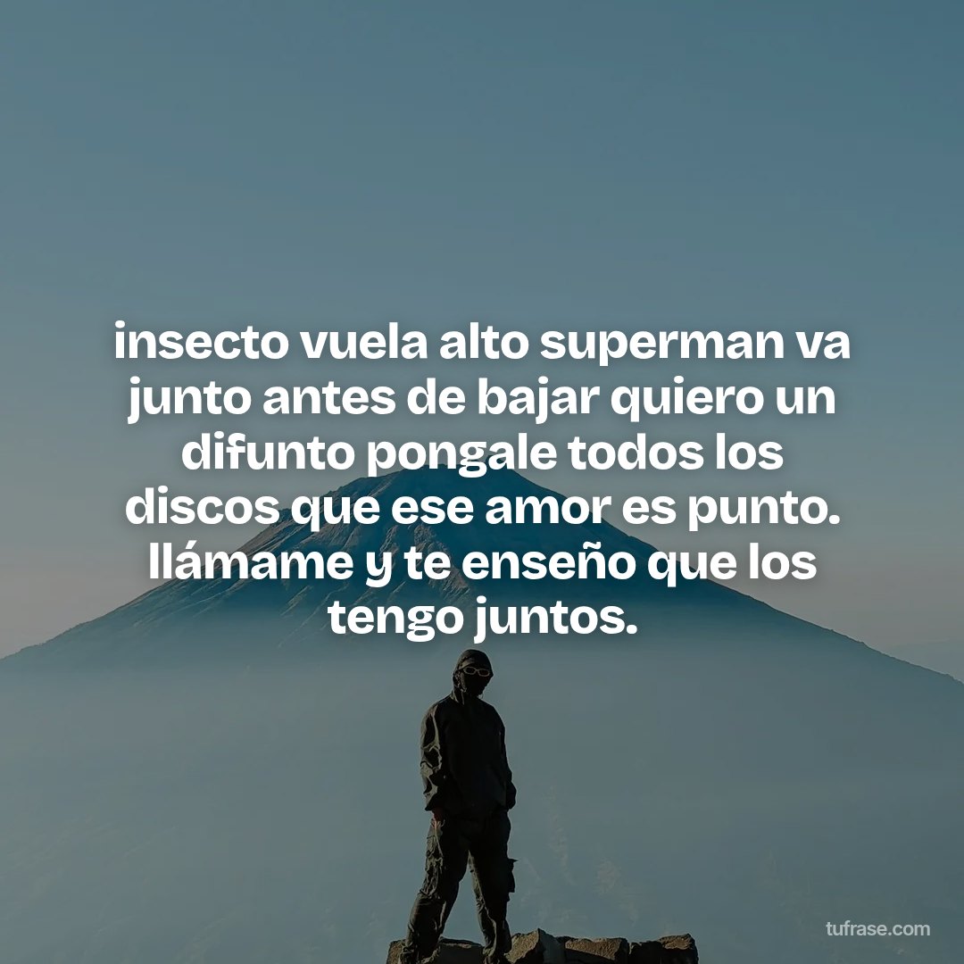 insecto vuela alto superman va junto antes de bajar quiero un difunto pongale todos los discos que ese amor es punto. llámame y te enseño que los tengo juntos.