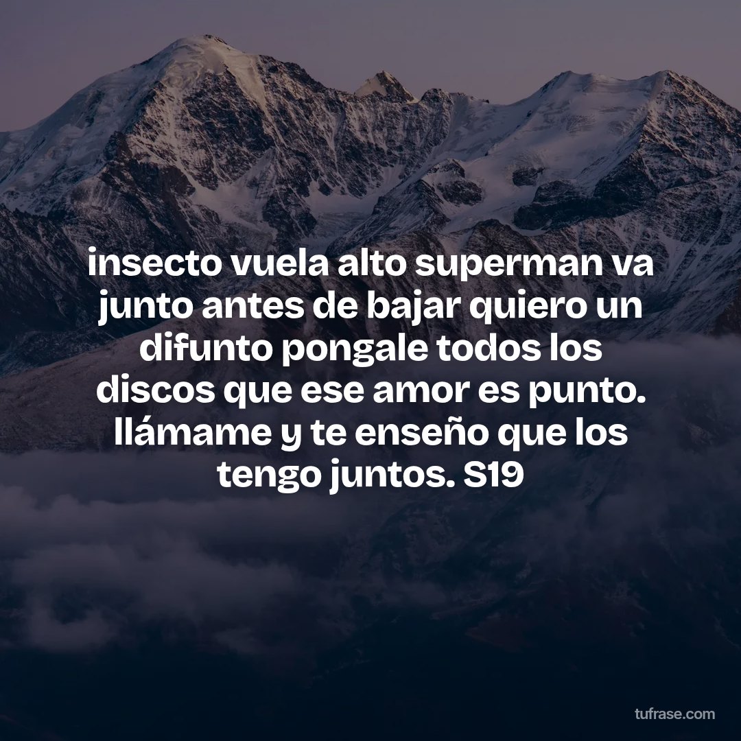 insecto vuela alto superman va junto antes de bajar quiero un difunto pongale todos los discos que ese amor es punto. llámame y te enseño que los tengo juntos. S19