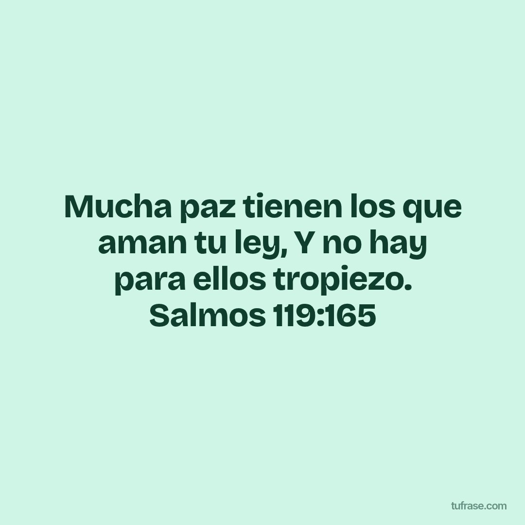 Mucha paz tienen los que aman tu ley, Y no hay para ellos tropiezo. Salmos 119:165