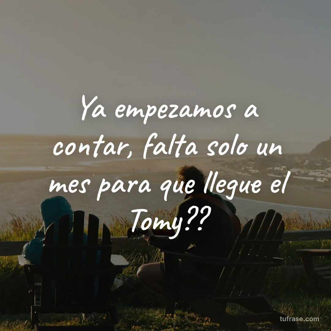 Ya empezamos a contar, falta solo un mes para que llegue el Tomy??