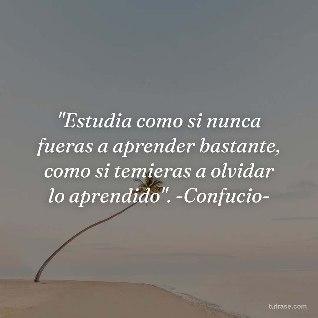 "Estudia como si nunca fueras a aprender bastante, como si temieras a olvidar lo aprendido". -Confucio-