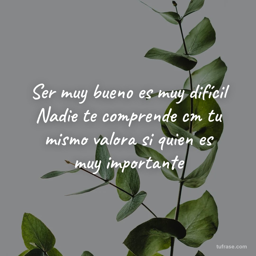Ser muy bueno es muy difícil Nadie te comprende cm tu mismo valora si quien es muy importante