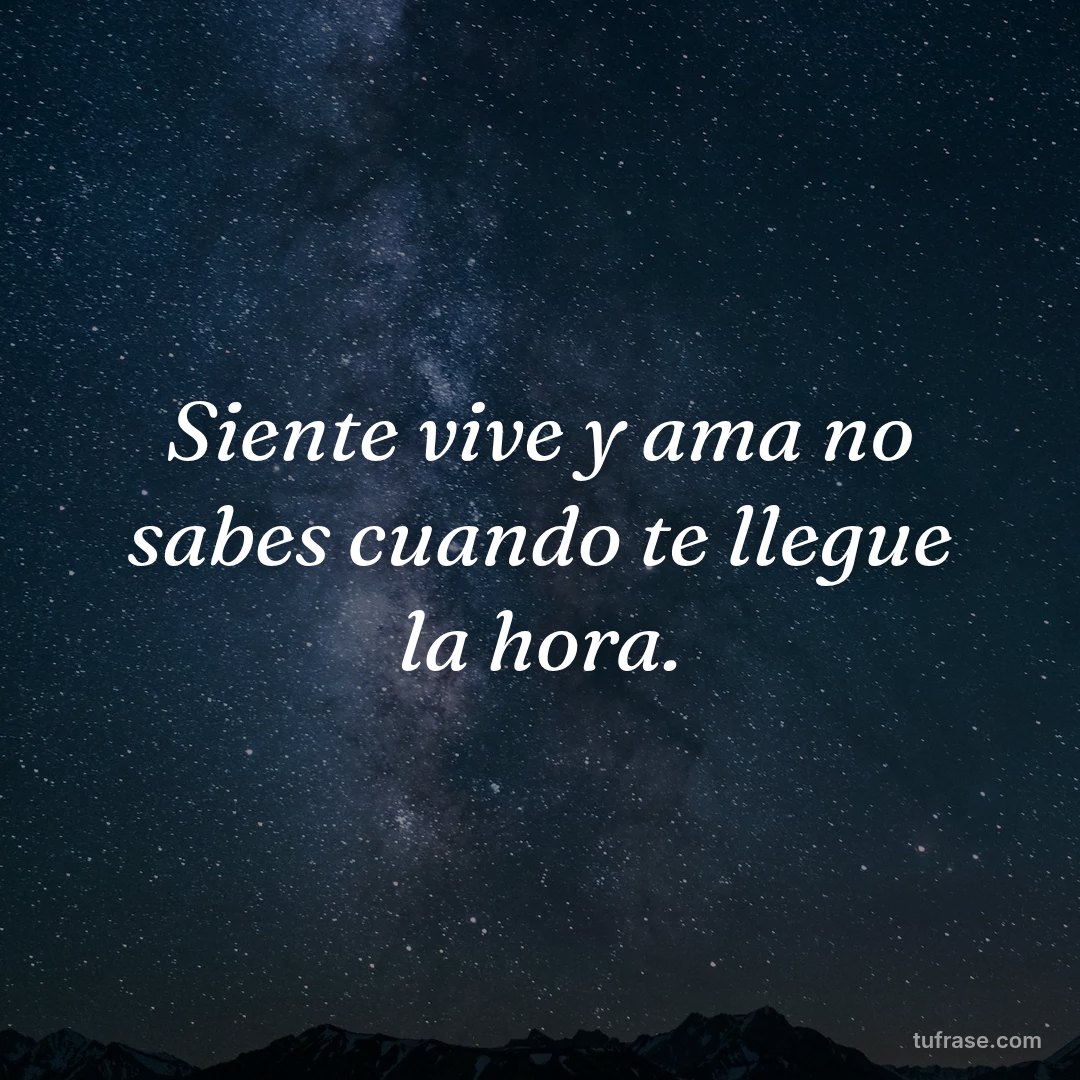 Siente vive y ama no sabes cuando te llegue la hora.