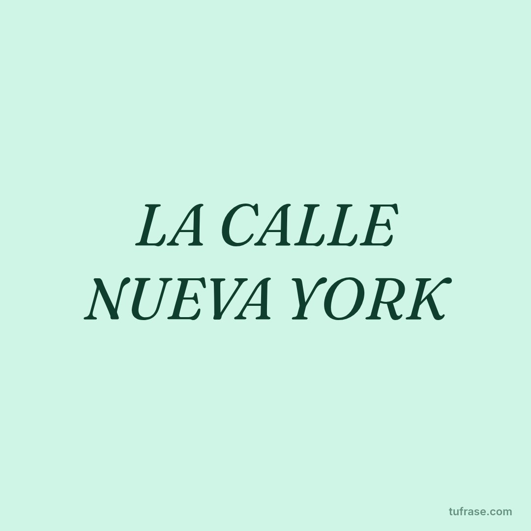 LA CALLE NUEVA YORK