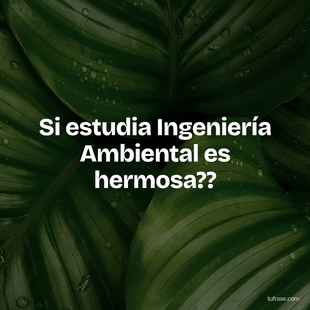 Si estudia Ingeniería Ambiental es hermosa??